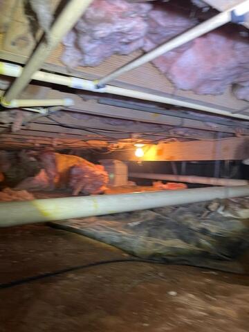 Wet Insulation