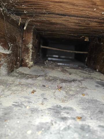 Duct Cleaning - Logan, IA