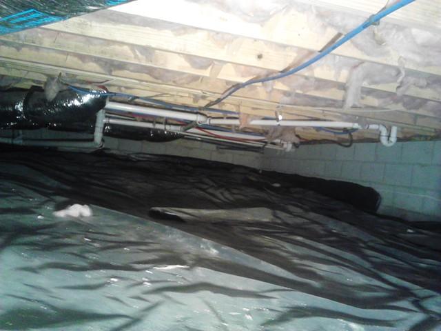 Before