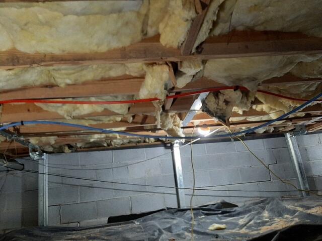 PowerBraces Custom-Fit