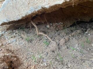 Causes of Settlement Problems: Expansive Soil & Water in Catalina, AZ