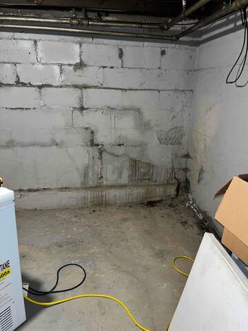 Basement Wall Discoloration