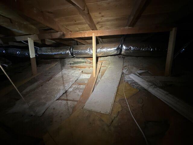 exposed Attic joists