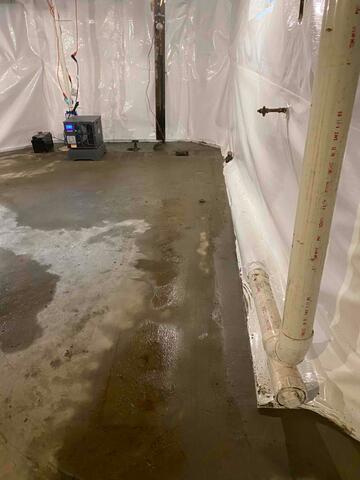 CleanSpace and WaterGuard