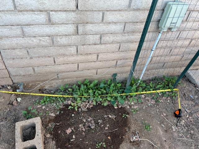 Causes of Stem Wall Failure in Eloy, Arizona