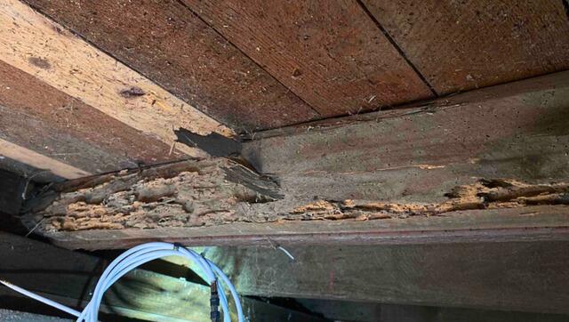 Wood rotting in floor joists of Pescadero, CA, family home.