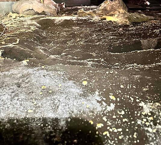 Mold spores grow in San Bruno, CA, home crawlspace