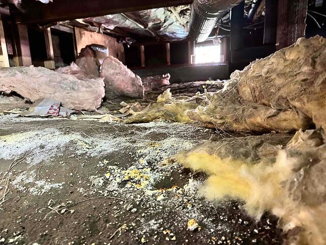Mold and mildew growing in wet San Bruno, California, home crawlspace