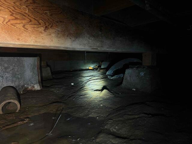 Silent Screams of a Water-Damaged Crawl Space in San Carlos, CA