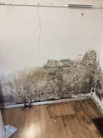 Lots of Mold