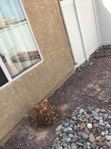 Signs of Foundation Stress Around the House: Wall Cracks in Red Rock, Arizona