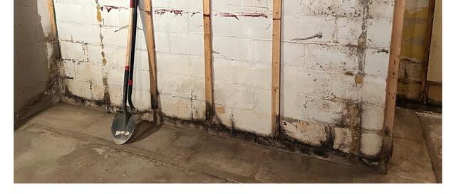 Wet Basement Walls