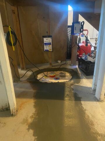 TripleSafe Pump System