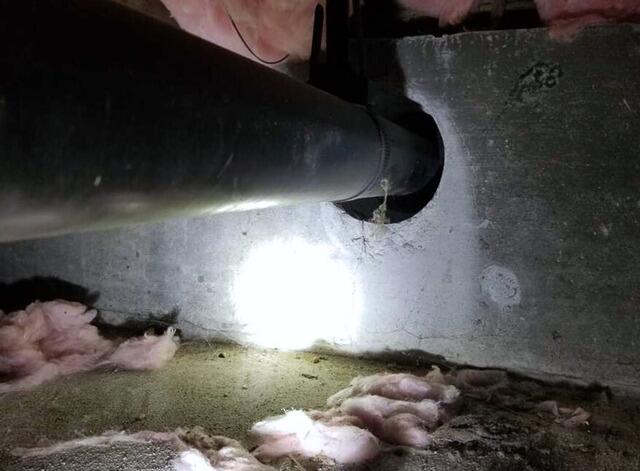 Combat Mold Growth: A Dry Crawlspace is a Mold-Free Crawlspace