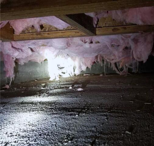 Boost Energy Efficiency: A Dry Crawlspace Saves You Money