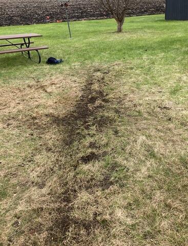 LawnScape Replaced the Unsightly Hose