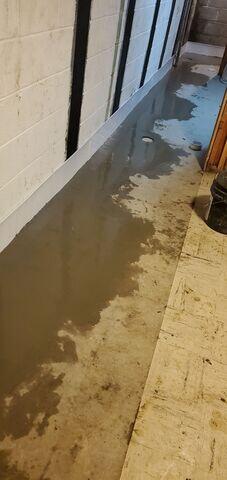 Interior Drainage System, Helical Piers, and CarbonArmor® Wall Reinforcing System Secured