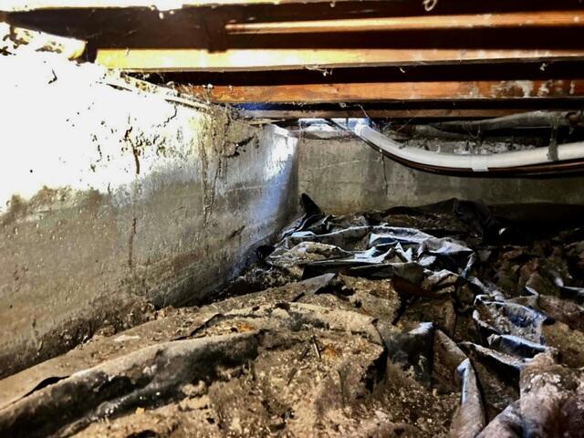 From Dream Home to Soggy Mess: The Impact of Crawlspace Moisture