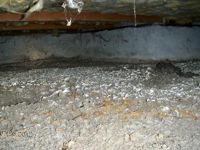 Mold spores growing out of control in Saratoga, CA, crawlspace