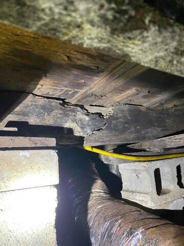 Wood Rot