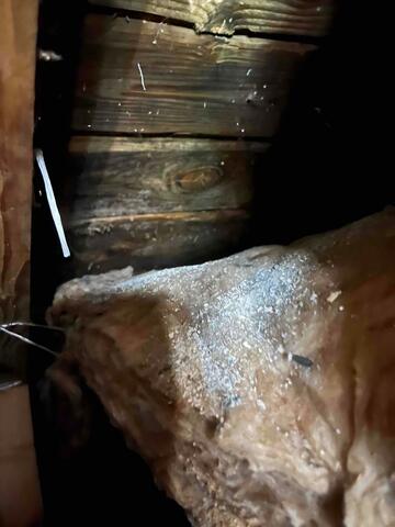 Pulling Back the Old Fiberglass
