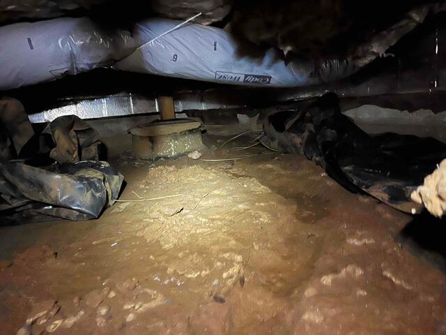 Muddy Mess