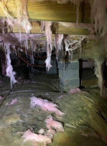 Nasty Crawl Space