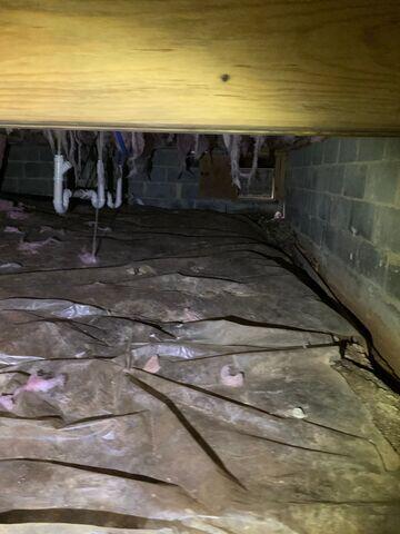 Cold Crawl Space