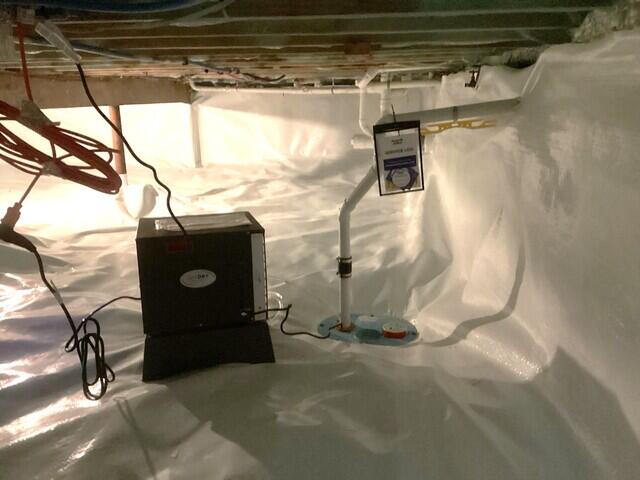 SmartSump Pumping System.