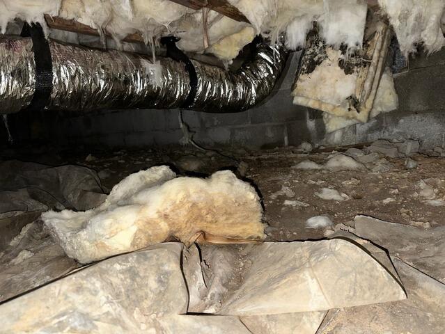 Original Crawl Space