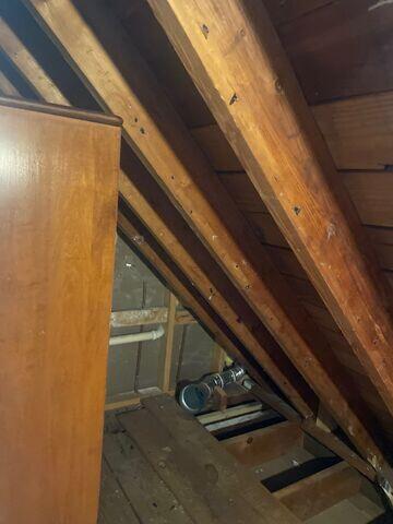 Attic Insulation Needed