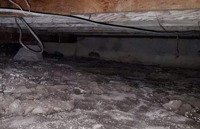 Beginnings of Mold Growth in Felton, CA, Home Crawlspace