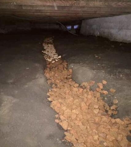 How Strategic Drains Keep Your Felton, California, Crawlspace Dry