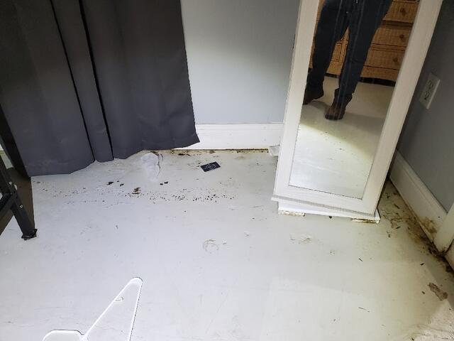 Water Damage