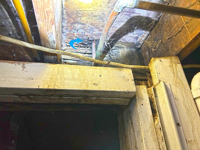 Mold Everywhere