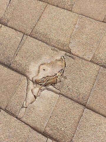 Damage to a shingle
