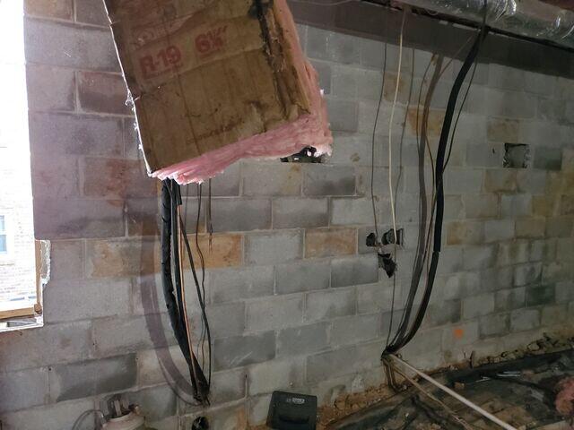 Wet and Moldy Insulation