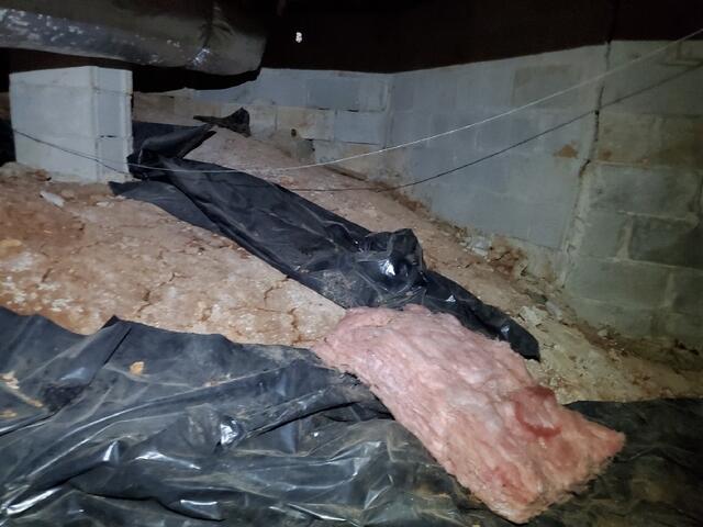 Crawl Space Damage