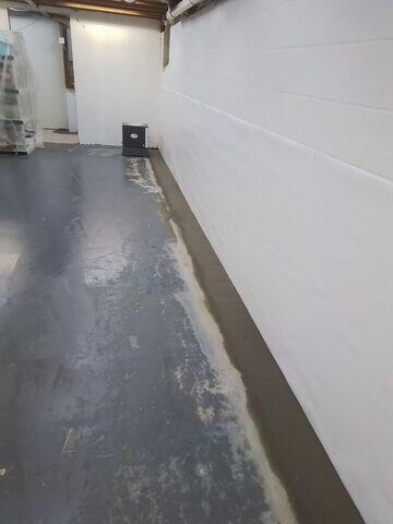 WaterGuard and CleanSpace