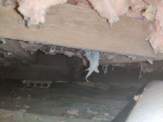 Floor Joists