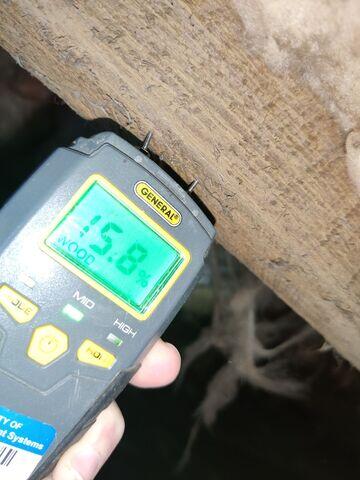 Moisture in Floor Joists