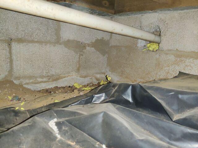 Old Vapor Barrier