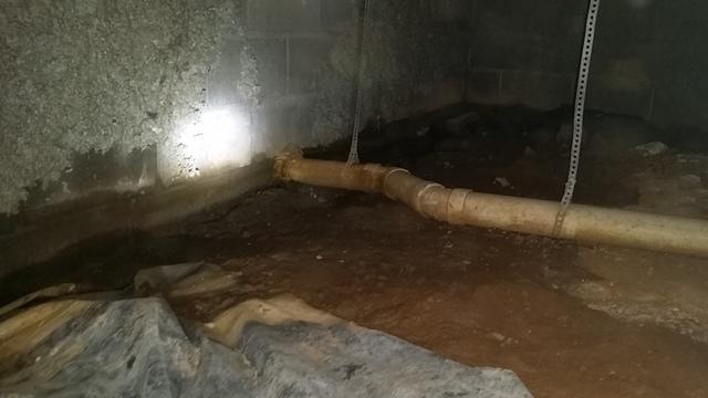 Nasty Crawlspace