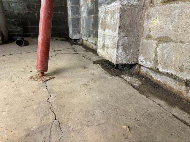 Restoration Solution