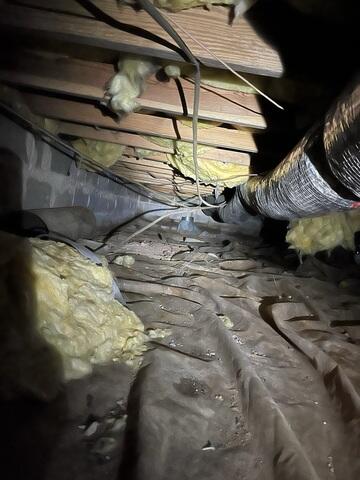 Crawl Space Damage