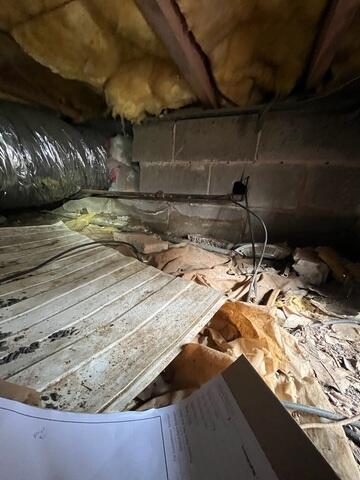 Crawl Space Debris
