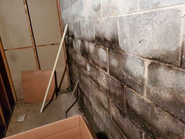 Water on Basement Wall