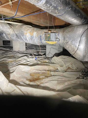 Moisture Buildup in Crawl Space
