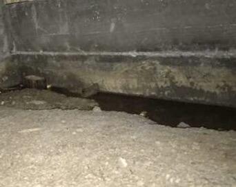 Potential problems from standing water in Cloverdale, CA, Crawlspace