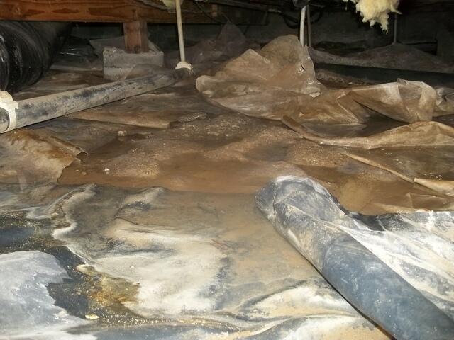 A a shallow pool of water standing in Cotati, CA, crawlspace